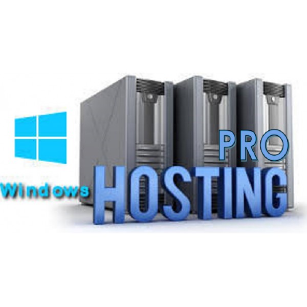 Win Hosting Pro