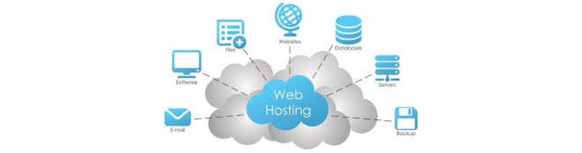 Web Hosting Hizmetleri